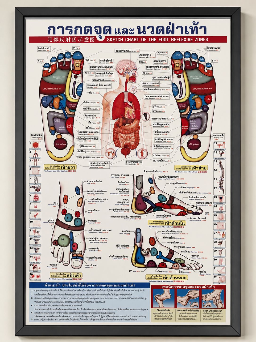 Foot reflexology chart Framed Thai foot reflexology chart showing reflex zones of the feet